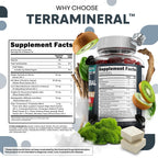 Terramineral Shilajit Gummies with Irish Sea Moss Tongkat Ali Ashwagandha Lion's Mane MACA Panax Ginseng Rhodiola & Cordyceps by Clean Nutra (1)