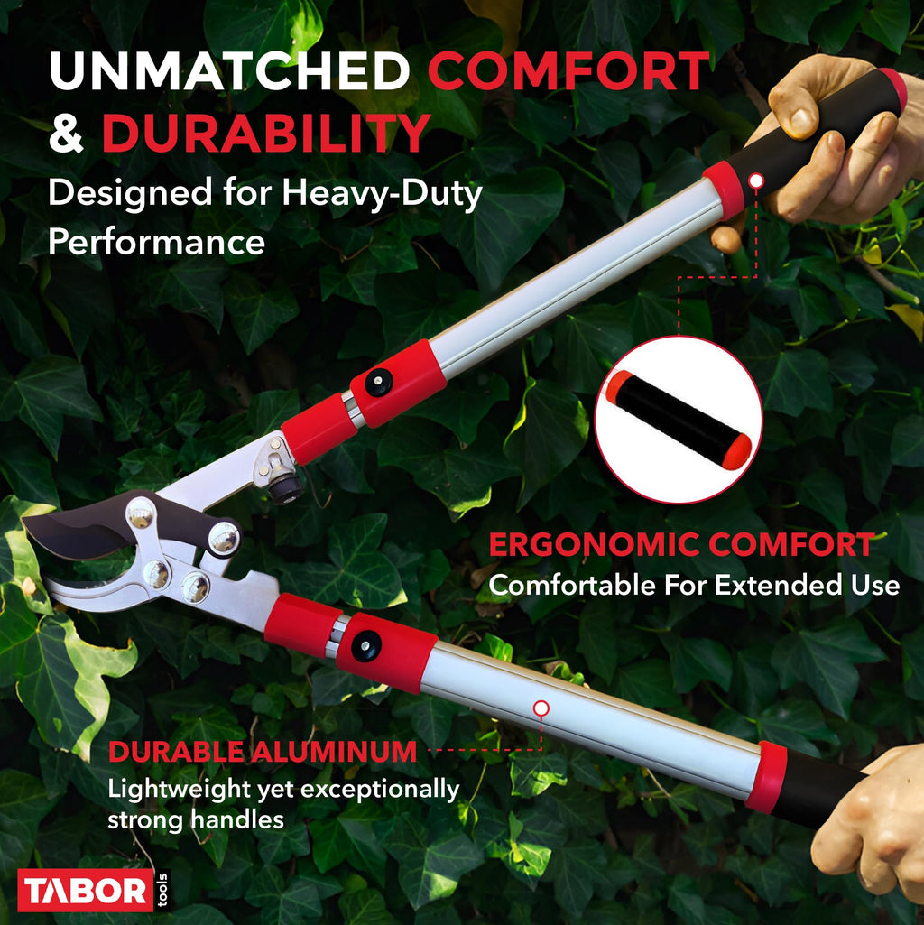 TABOR TOOLS GG21A Extendable Bypass Lopper with Compound Action, 27-40 Inch Telescopic Tree Trimmer & Branch Cutter, Long Reach Tree Pruner with 1 1/2 Inch Cut Capacity, Makes Clean Neat Cuts
