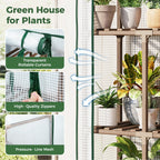 4 Tier Bamworld Mini Greenhouse for Outdoor