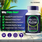 Proto Flow for Prostate Capsules, ProtoFlow Supplement Prostate Support Pills - Maximum Strength, ProtoFlow Advanced All Natural Formula, Proto Flow Prostate Health Men Pills Reviews (2 Pack)