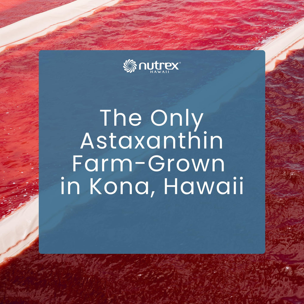 Nutrex Hawaii BioAstin Hawaiian Astaxanthin - 12mg, 90 Softgels - Farm-Direct Premium Antioxidant Supplement to Support Eye, Skin, Joint & Immune System Health - Non-GMO & Gluten-Free