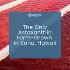 Nutrex Hawaii BioAstin Hawaiian Astaxanthin - 12mg, 90 Softgels - Farm-Direct Premium Antioxidant Supplement to Support Eye, Skin, Joint & Immune System Health - Non-GMO & Gluten-Free