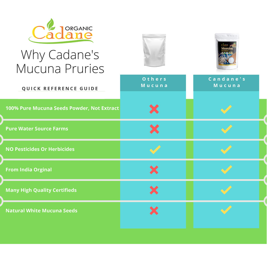 Organic Cadane Mucuna Pruriens Powder 1 Pound | Promotes Brain Health, Supports Immune System, Energy | USDA Certified Vegan-Friendly Supplements | Pure Natural Velvet Beans Extract from India