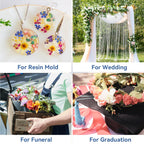 10.4 LBS Silica Gel Flower Drying Crystals, Reusable Color Indicating Flower Drying Silica with Airtight Container and Brush, DIY Wedding Bouquet Flower Preservation Kit, Fine Bead Size<1mm