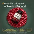 NatureBell Cranberry Concentrate - 240 Capsules - Organic Cranberry Concentrate with Acerola Cherry - Urinary Tract & Prostate Support* - Vegetarian