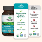 ORGANIC INDIA Gotu Kola Herbal Supplement - Adaptogen for Brain & Nervous System Support, Vegan, Gluten-Free, Kosher, USDA Certified Organic, Non-GMO, Calming, Mental Clarity - 90 Capsules