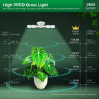 SANSI Wall Mounted Grow Light, 30W Dual Head Full Spectrum with Remote