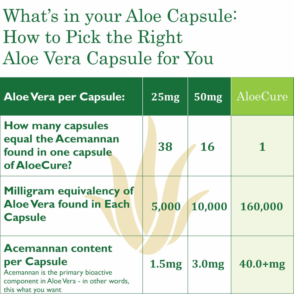 AloeCure Organic Aloe Vera Capsules, 160,000mg Inner Aloe Leaf Equivalent per Serving, Support Gut, Digestive, & Immune Health, Helps Maintain Balanced Stomach Acidity, Aloin Free, 60 Capsules