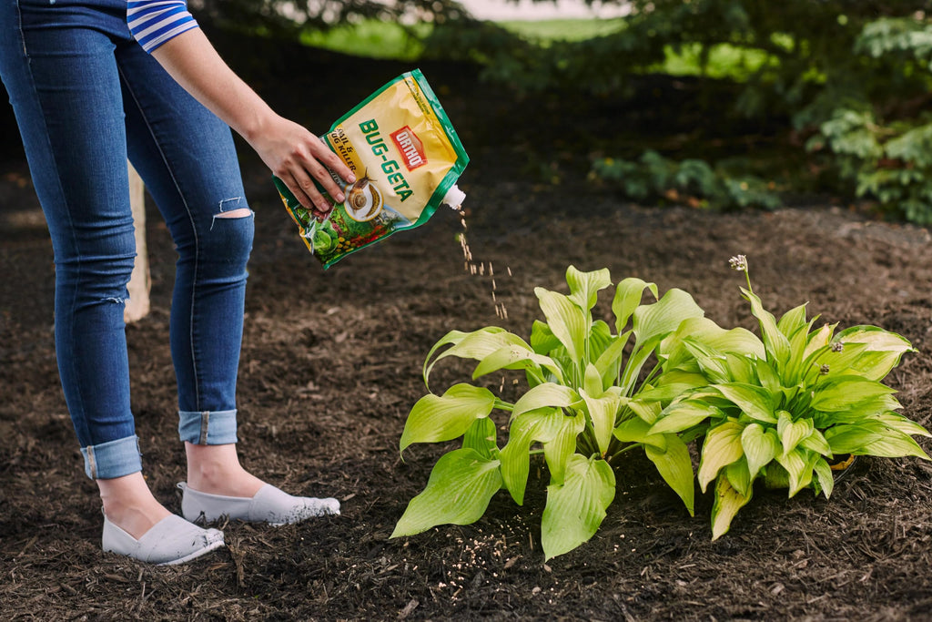Ortho Bug-Geta Snail & Slug Killer2 - Slug Bait and Pest Control Stays Effective After Rain or Sprinkling For Up to 3 Weeks, 6 lb.