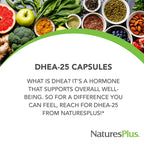 NaturesPlus DHEA-25 with Bioperine - 60 Capsules - Gluten Free - 60 Servings