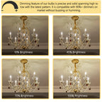 Potanro E12 Incandescent Light Bulbs 40Watt Warm White 2700K, 300 Lumens Candelabra Light Bulbs Decorative Dimmable Chandelier Bulbs for Ceiling Fan, Pendants (40W-20Pack)