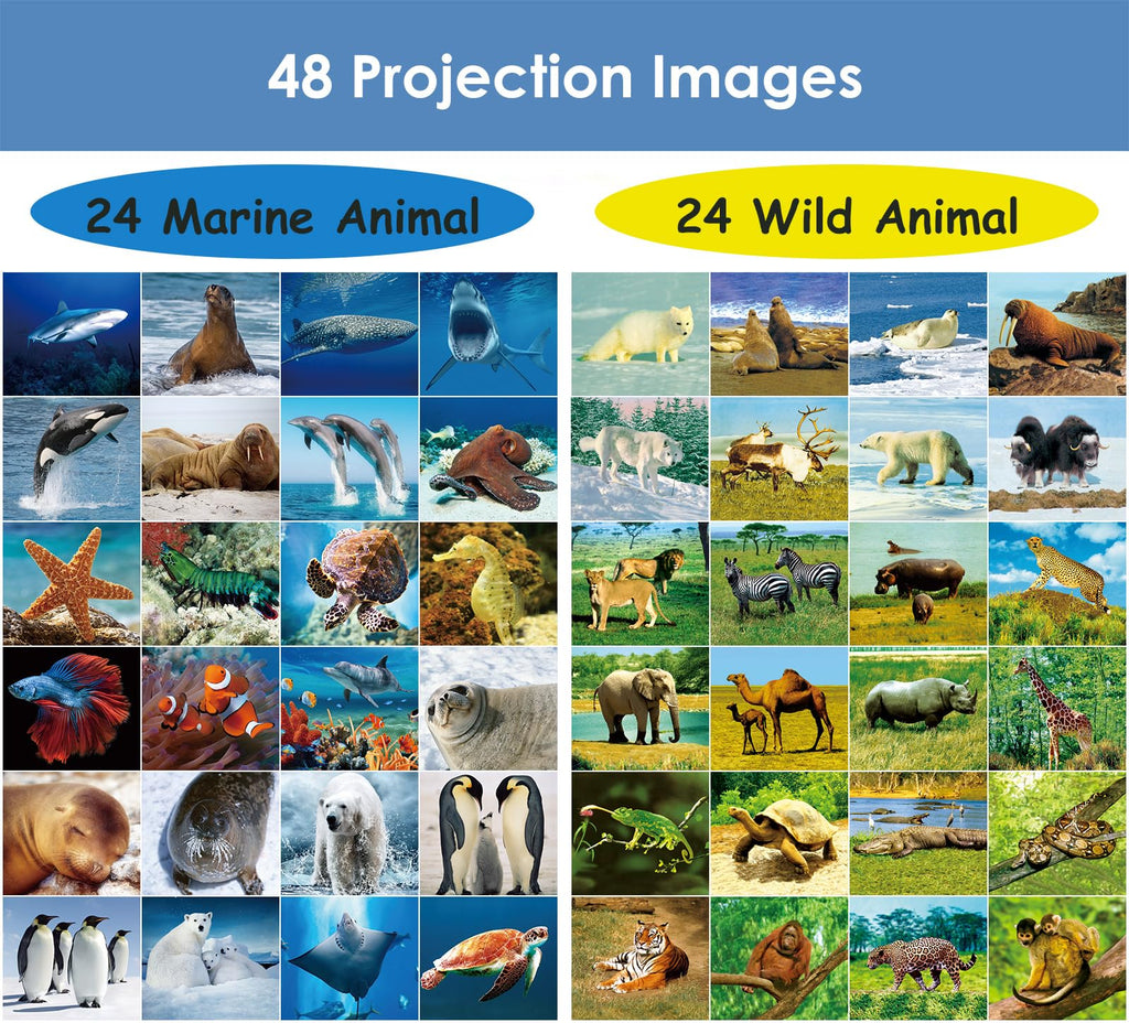 Pup Go 2-Pack Wild Animal & Seaworld Torch and Projector for Ages 3 4 5 6 7, Ideal Toys for Boys, Cool Kids Torch with 6 Discs and 48 Images, Educational Science Kits for Toddlers and Children