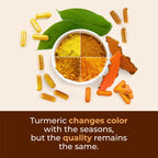 Turmeric Curcumin Supplement with Black Pepper Extract - High Potency Organic Turmeric 1400mg & 95% Curcuminoids for Joint & Digestive Health - Joint Support Supplement - 60 Vegan Curcuma Capsules