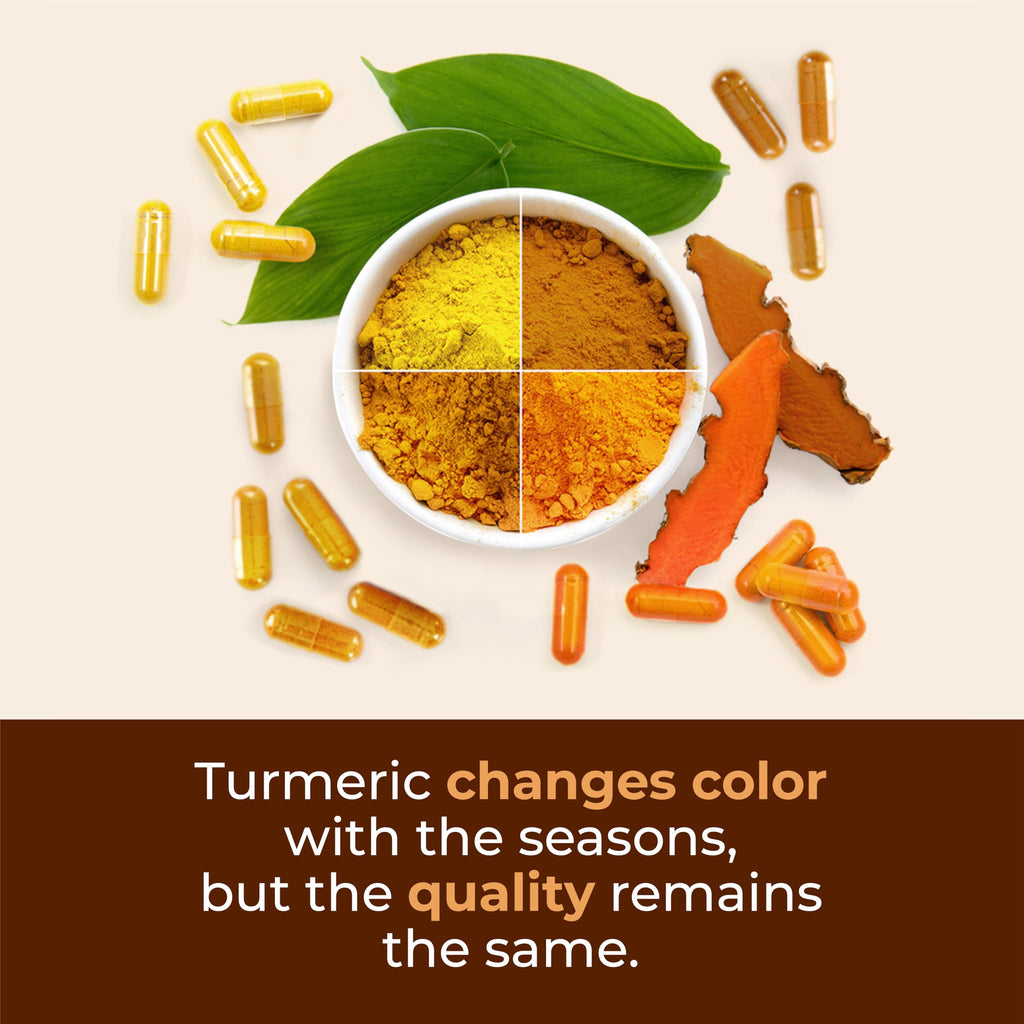 Turmeric Curcumin Supplement with Black Pepper Extract - High Potency Organic Turmeric 1200mg & 95% Curcuminoids for Joint & Digestive Health - Joint Support Supplement - 60 Vegan Curcuma Capsules