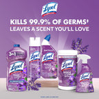 Lysol Disinfectant Spray, Sanitizing and Antibacterial Spray, For Disinfecting and Deodorizing, Lavender & Cotton Blossom Scent, 19 Oz (Pack of 2)