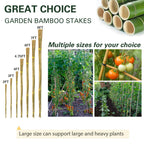 Sprigra Bamboo Stakes 3FT 30pcs, 36 inch Garden Stakes Multi-Purpose, Bamboo Plant Support Stakes for Tomatoes, Beans, Peppers, Flowers, Potted, Maintain the Plant Posture, Strengthen and Stem