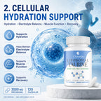 Liposomal Taurine Supplement 3000mg, Taurine Capsules Free-Form for Cellular* Energy*, Muscle* Function, Recovery* & Focus, Hydration, Electrolyte Balance, Vegan, 240 Capsules (60 Day Supply)