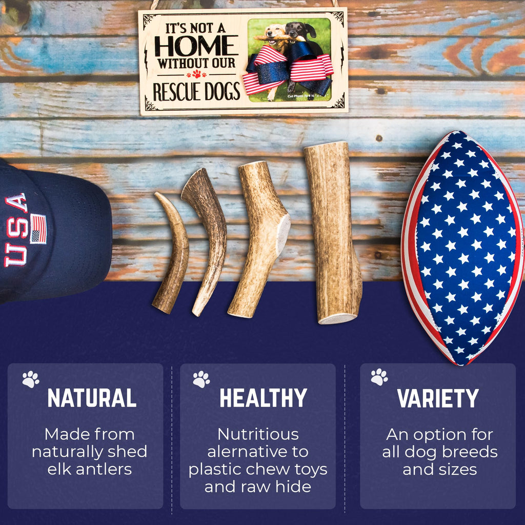 Devil Dog Pet Co Whole Elk Antlers for Dogs, Medium, Aggressive Chewers