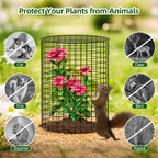 SPECILITE 10 Pack Plant Protector from Animals, 14"x16" Pre-Bent Wire Mesh