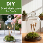 Mumutie 16-Pack Mini Mushrooms for Crafts - Terrarium Decor for DIY Miniature Landscapes & Garden Mushrooms - Desktop Ornaments & Christmas Decorations.
