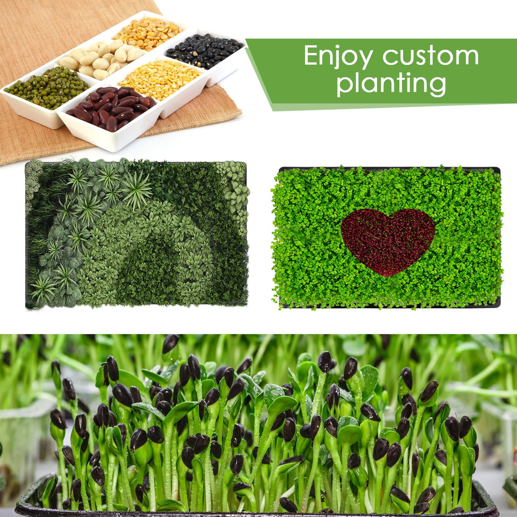6 Pack Microgreens Growing Kit, Microgreens Trays for Indoor Gardening