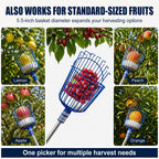 10.5FT Adjustable Cherry Fruit Picker Tool with Narrow Gaps
