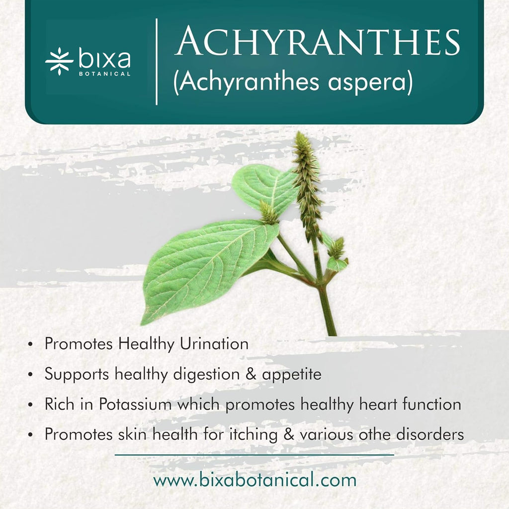 bixa BOTANICAL Achyranthes Aspera Powder | Apamarga ǀ Ayurvedic Herbal Supplement | 200 Grams / 7 OZ | Gluten Free, Non-GMO, Steam Treated, Vegan, 100% Pure.