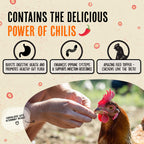Roosty's Naturals Flock Armor Chicken De-wormer Chili Mix, 16oz