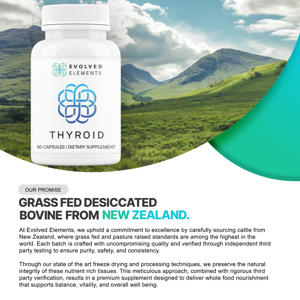 Evolved Elements Thyroid – Raw Grass-Fed Desiccated – New Zealand Sourced - Energy & Metabolism Support – Non-GMO, 60 Capsules