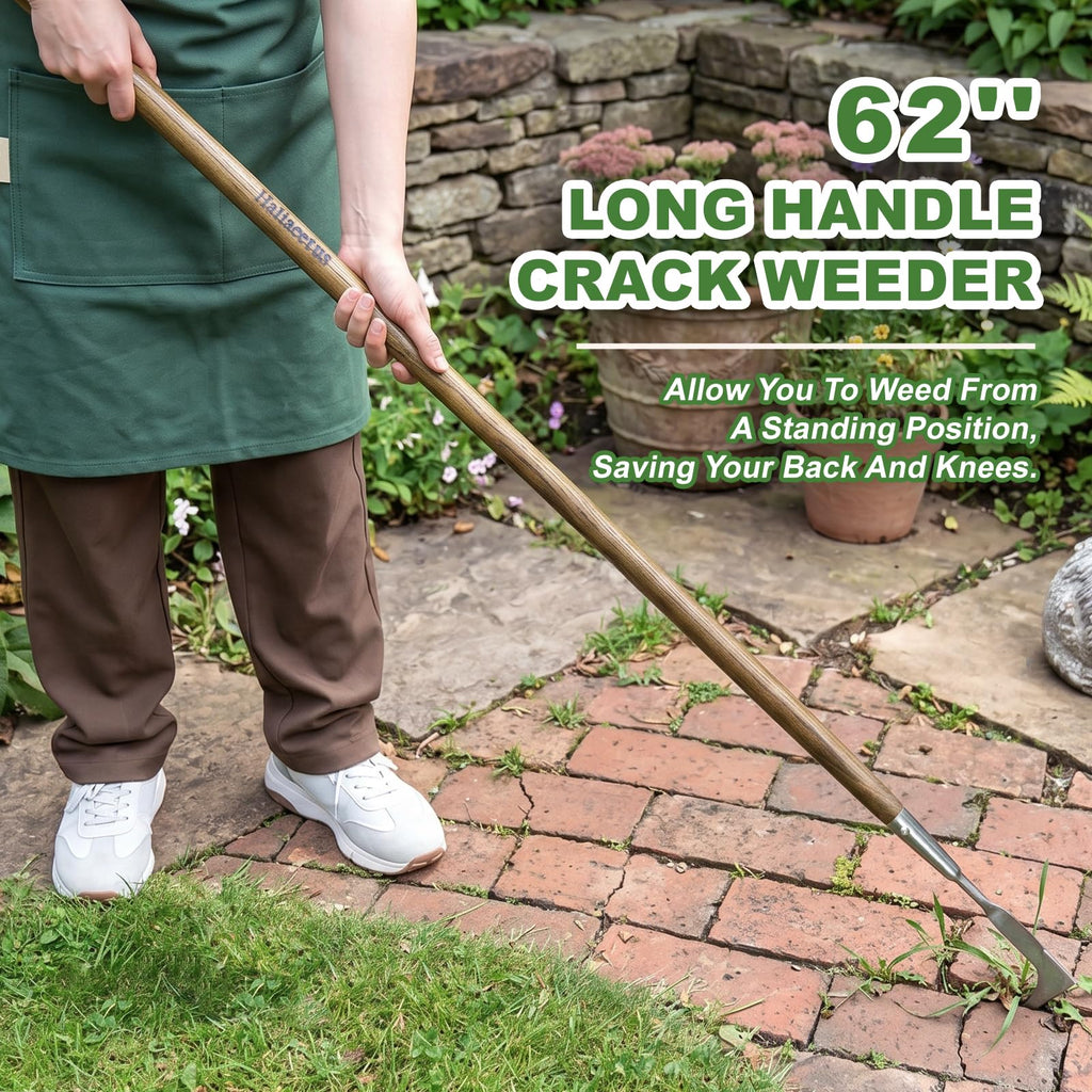 Haliaeetus Long Handle Crack Weeder Tool, 62'' L Shape Crevice Weeding Tool