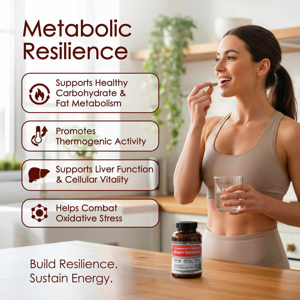 MIUT Fucoxanthin Brown Seaweed Extract Supplement 250mg - 10% Standardized Fucoxanthin w/Vitamin E & MCT Oil, Antioxidant & Metabolic Support - Vegan Marine Carotenoid Formula, Non-GMO - 100 Capsules