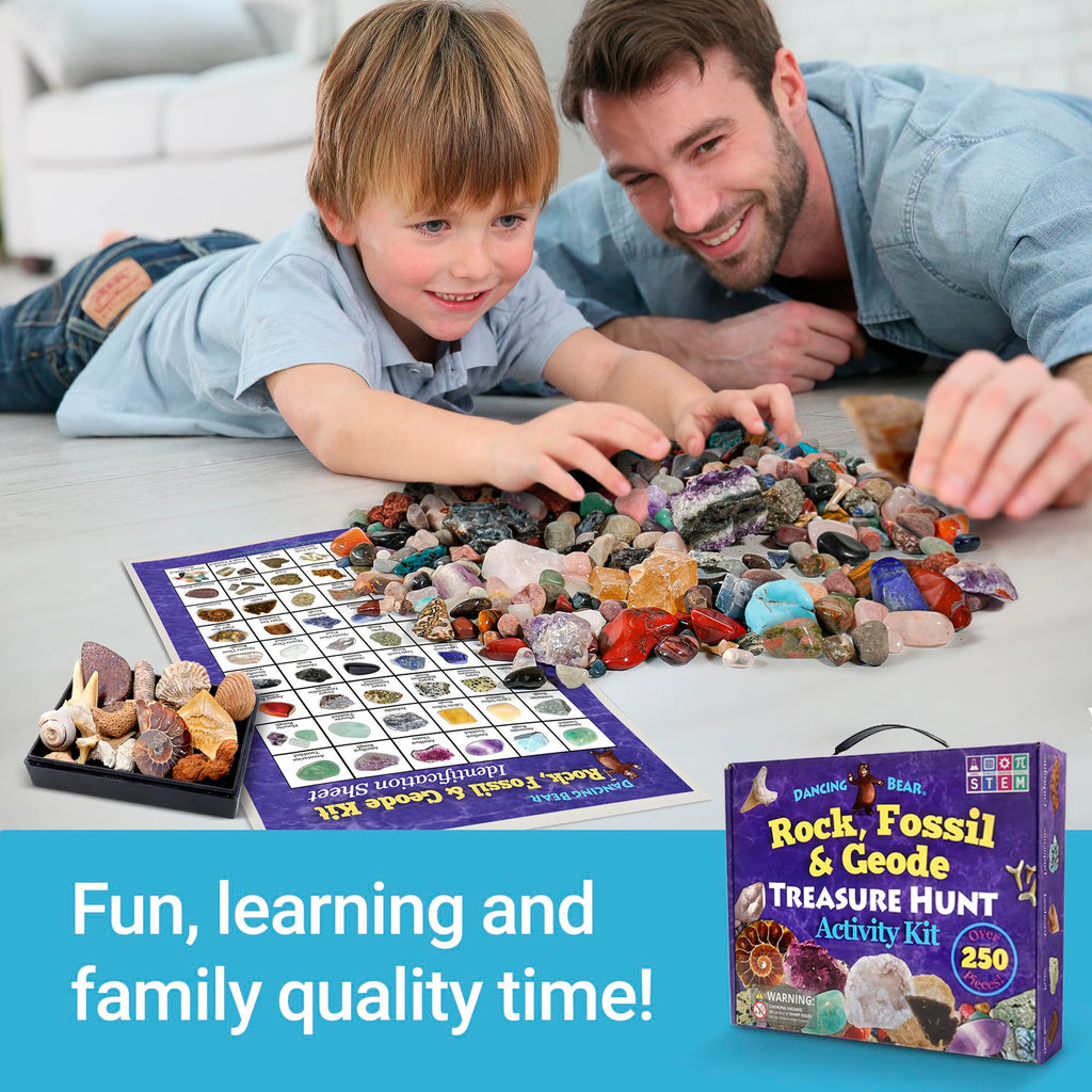 DANCING BEAR Rock, Mineral & Geodes Treasure Hunt Activity Kit (250 Pc Set) Real Shark Teeth Fossils, ID Sheet & Rock Book, STEM