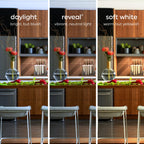 GE Reveal HD+ LED Light Bulbs, 60 Watt, A19 Bulbs (4 Pack)
