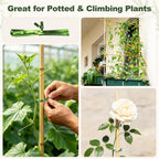 Natural Bamboo Poles, 7 Feet Bamboo Sticks for Plants, Wood Garden Stakes for Tomato, Bean, Flowers, Trees Potted and Climbing Plants, 15 Pack