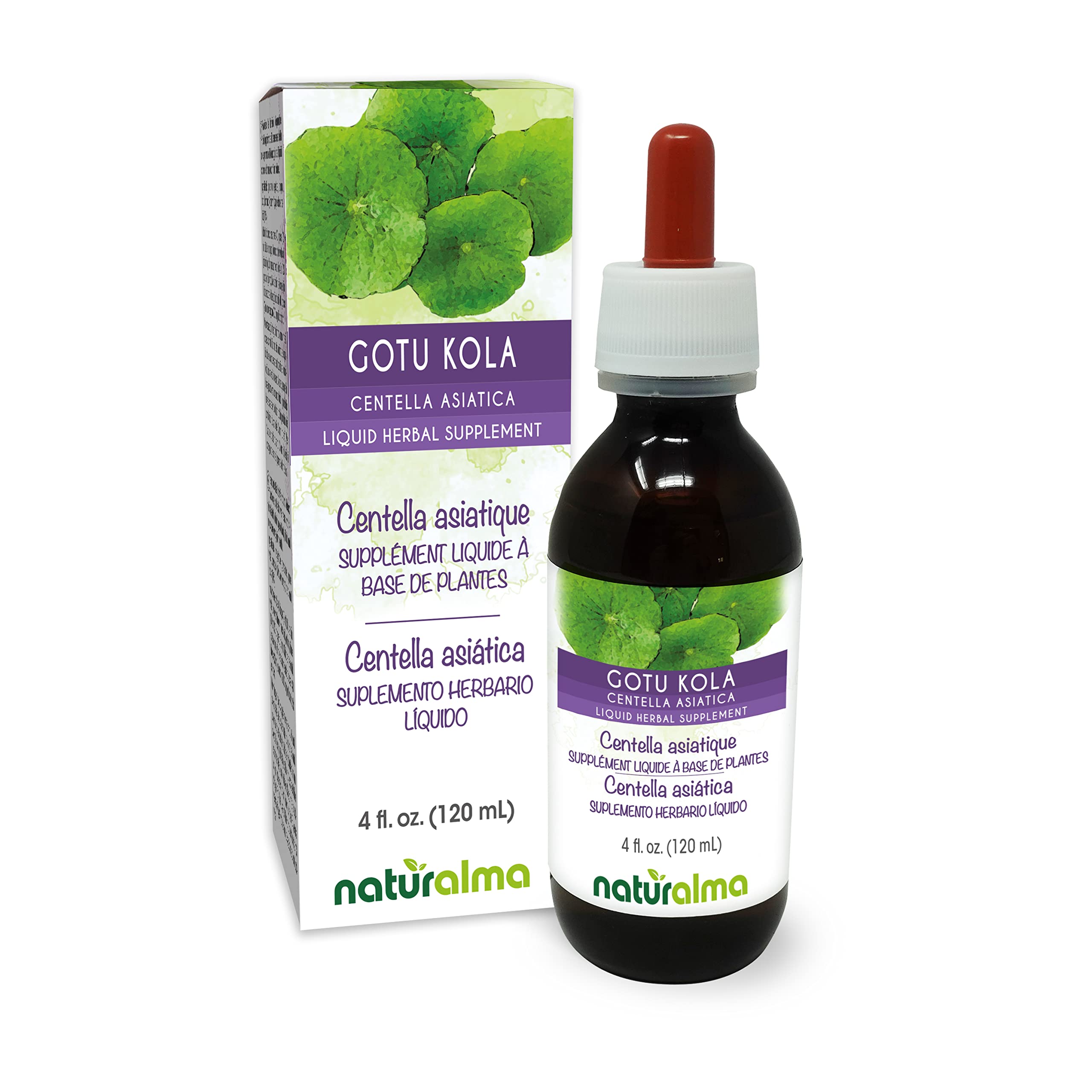 Naturalma Gotu kola (Centella asiatica) herb Alcohol-Free Tincture - 4 fl oz Liquid Extract in Drops - Herbal Supplement - Vegan
