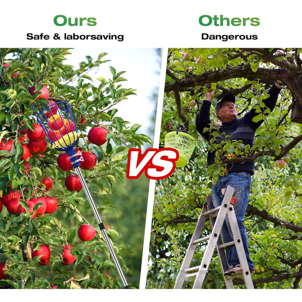 RAIN SPIRIT Fruit Picker Pole tool with Basket, 6FT Telescoping extension fruit picking rod for Apples Mango Orange Pear Tree Picker, nut picking with Adjustable stainless steel rod
