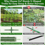 Cucumber Trellis for Raised Bed, Garden Arch Trellis for Climbing Plants Outdoor, Metal Garden Trellis for Spring Vegetables, Cucumber Trellis for Tomato, Bean, Pea, Grape, Plant