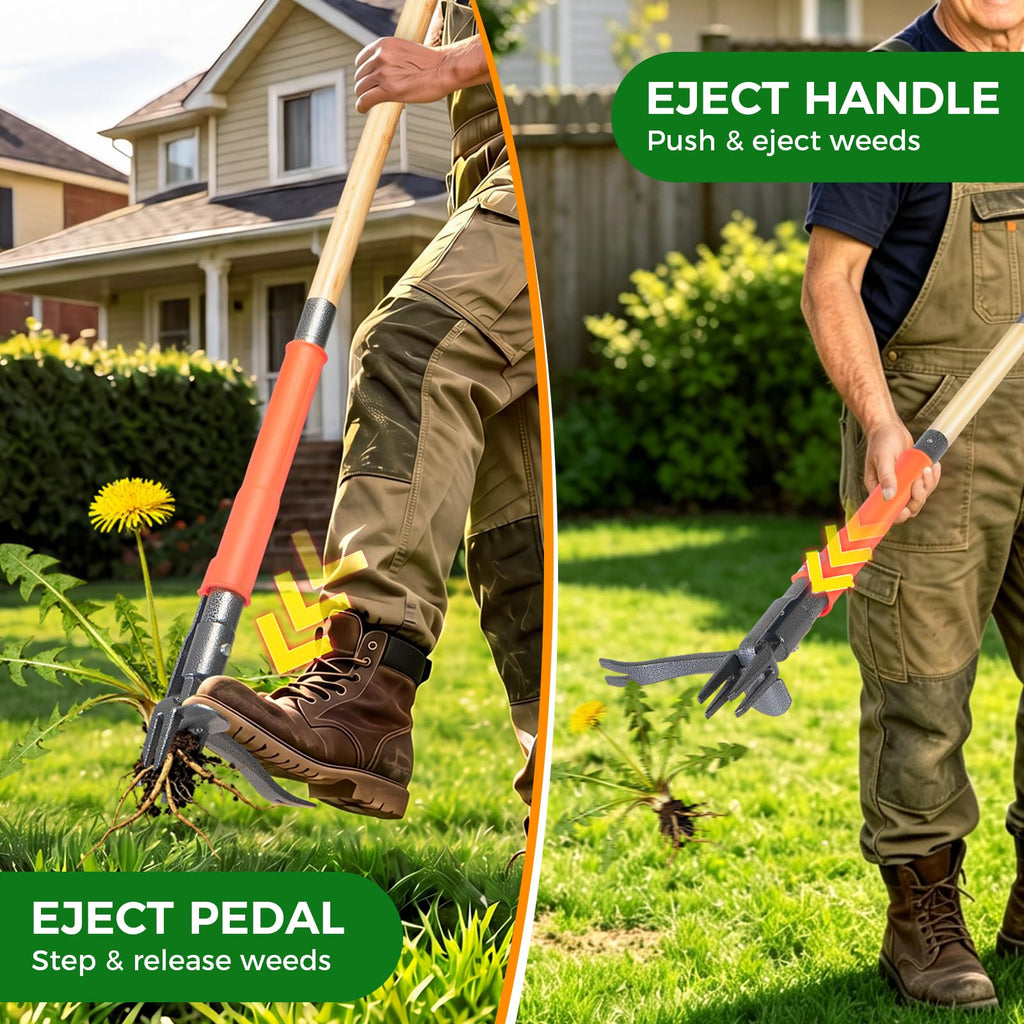 RexWeed Stand Up Weed Puller Tool, 4-Claw Steel Head Deep Root Extractor with Dual-Eject Design, Real Bamboo Long Handle & Metal Anti-Slip Pedal, No Bending Dandelion Remover for Garden Lawn Yard