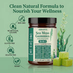 Sea Moss Gummies 16-in-1, with Black Seed Oil, Ashwagandha & Elderberry | Organic Irish Sea Moss Supplement for Men & Women | Daily Support with Manuka, Burdock Root & Vitamins C & D3, 30 Gummies