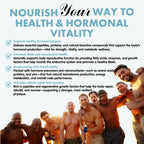 Primal Being Grassfed Beef Testes Capsules – Nutrient-Dense Beef Organ Supplement for Men, New Zealand Sourced, 120 Capsules