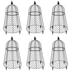 TAOMENNI Garden Cloches for Plants, Chicken Wire Cloche, Plant Cloche and Cages, Wire Plant Protectors from Animals, Protection for Your Plants and Seedlings, Heavy-Duty, 13" D x 20" H, Pack of 6