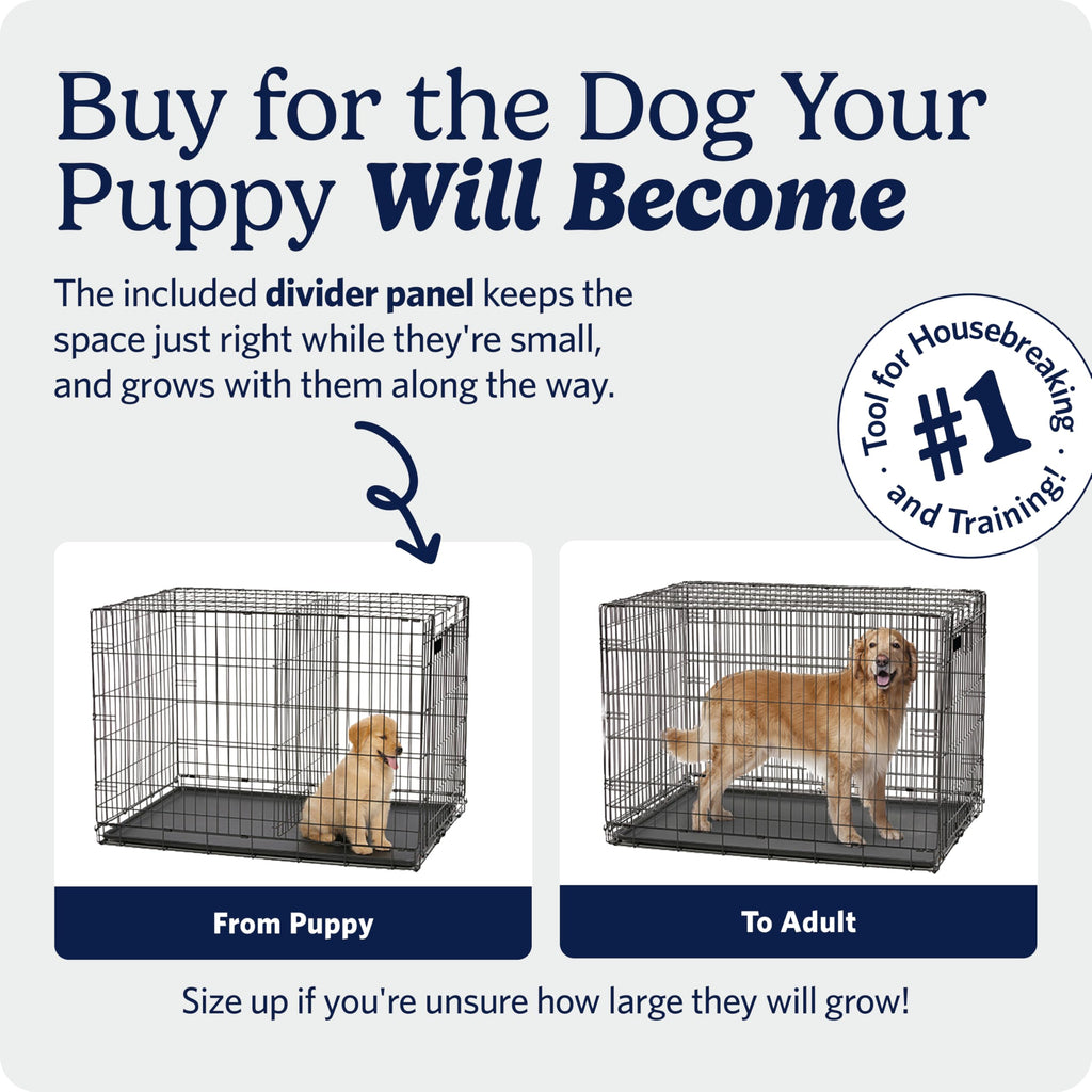 Midwest 24-Inch Single Door iCrate, for Small Breeds, 12-20 lbs