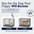 Midwest 24-Inch Single Door iCrate, for Small Breeds, 12-20 lbs