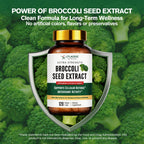 Sulforaphane from Broccoli Seed, Broccoli Supplement | Glucoraphanin, Myrosinase, Moringa Oleifera Leaf Extract – Activated Plant-Based Formula for Cellular Antioxidant Support, 120 Vegan Capsules