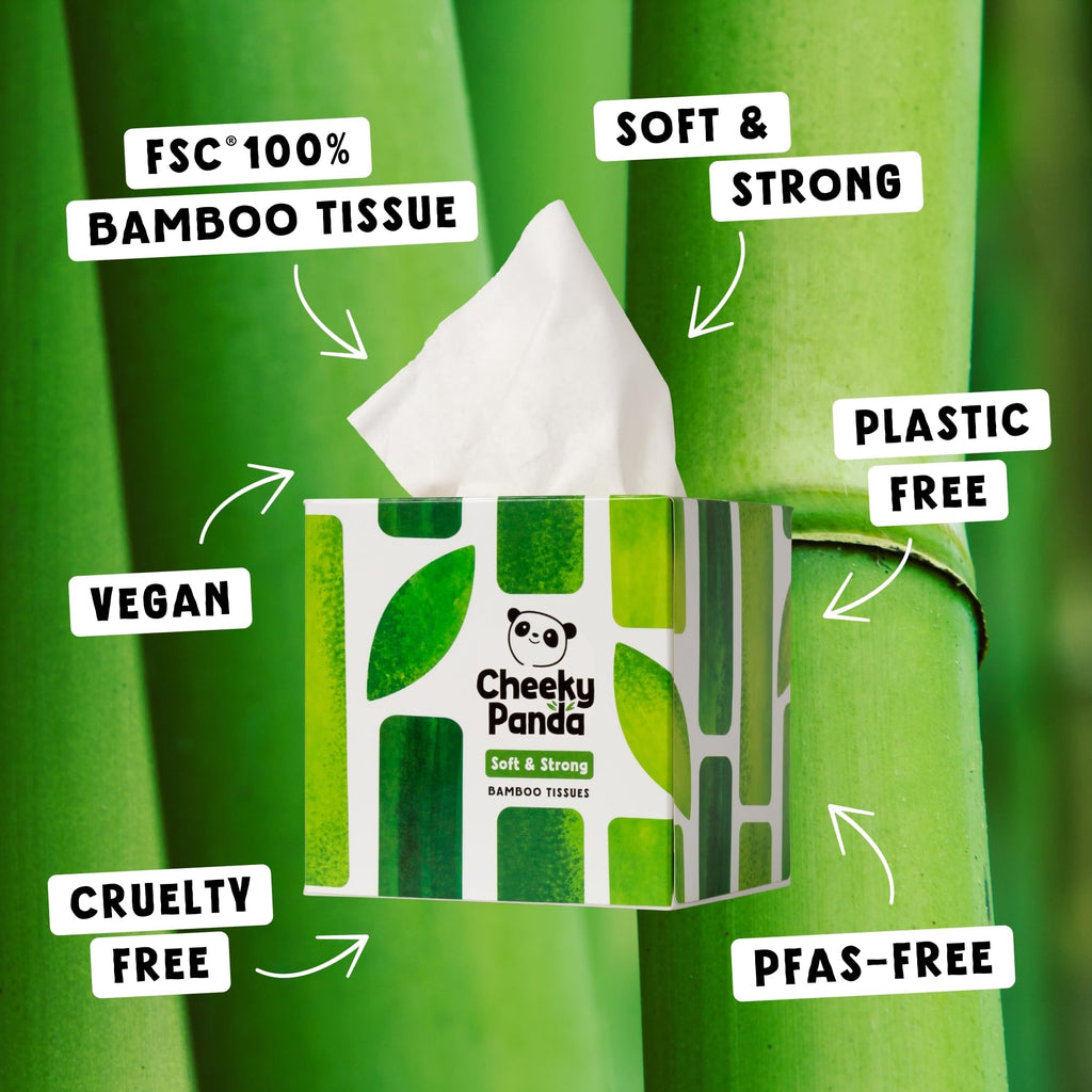 The Cheeky Panda Bamboo Facial Tissues Boxes | 12 x Tissue Boxes | Soft 3 Ply Bamboo Tissue Paper Bulk | Sustainable Tissues Cube Box
