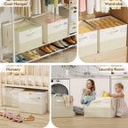 Plus Size 2 Pack Shoe Organizer for Closet, Foldable Shoe Storage Box