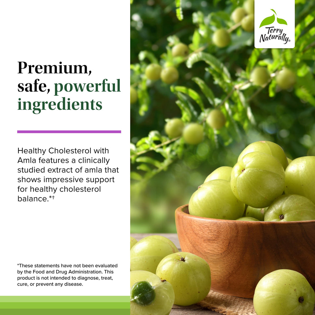 Terry Naturally Healthy Cholesterol with Amla - Supports Healthy Triglyceride Levels, Cardiovascular Health, Antioxidant - Non-GMO, Gluten-Free, Kosher, 60 Count (Pack of 1)