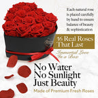 GLAMOUR BOUTIQUE Preserved Flowers, 16 Forever Red Roses in Heart Gift Box