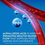 Nervive Nerve Relief PM, Occasional Nerve Discomfort II, Sleep Aid, Starts Working in 7 Days, Stabbing, Burning, Alpha Lipoic Acid, Melatonin, B Vitamins, Turmeric, Ginger, Nervive Supplement, 30 ct