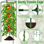 Fabulas Tomato Cage, Square Tomato Trellis Plant Support Stake Cages for Garden and Pots Tall Up to 63 Inch Adjustable Cucumber Trellis for Raised Bed Outdoor Climbing Plants Vegetables Flower, 3 Pack